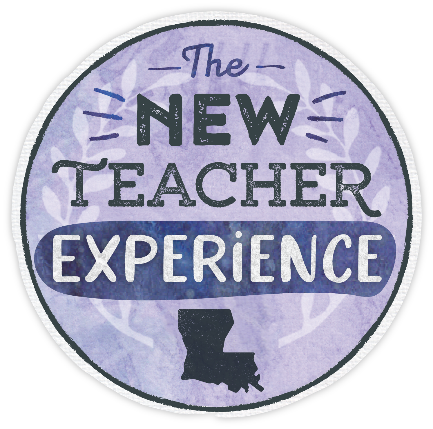 The New Teacher Experience